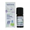 Spijk lavendel bio