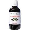 Stevia extract bruin