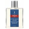 Man active aftershave lotion
