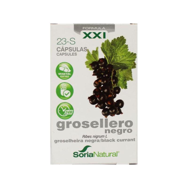 23-S Ribes nigrum XXI