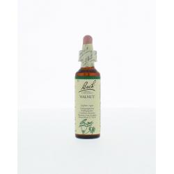 Walnut/walnoot