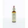 Wild oat/dravik