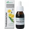 Taraxacum officinalis XXI extract