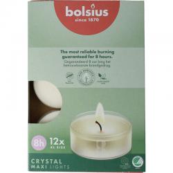 Crystal maxi lights 8 uur doos