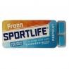 Frozn deepmint pack