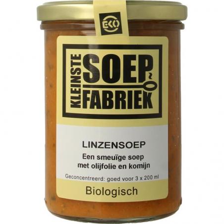 Linzensoep bio