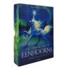 Het orakel van de eenhoorns boek en kaartenset
