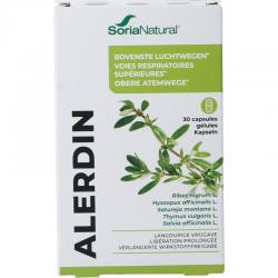 14-C Alerdin XXI