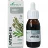 Composor 15 Artemisia complex XXI??
