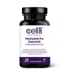Methylatie pro essentials