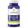 Cordyceps CPA3 mycelium extract 12:1