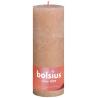 Rustiekkaars shine 190/68 misty pink