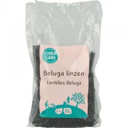 Linzen beluga bio