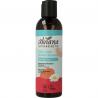 Shampoo micellar