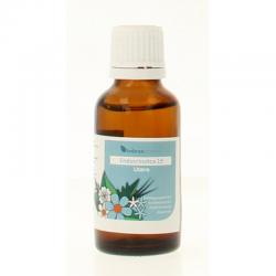 ECT019 Utero Endocrinotox