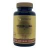 Curcuma longa extract