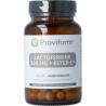 Lactoferrine puur 300mg + ester C