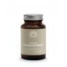 Chaga extract bio