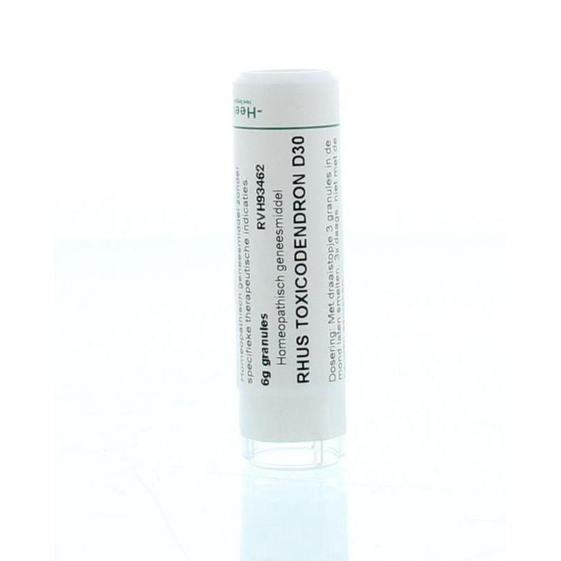 Rhus toxicodendron D30