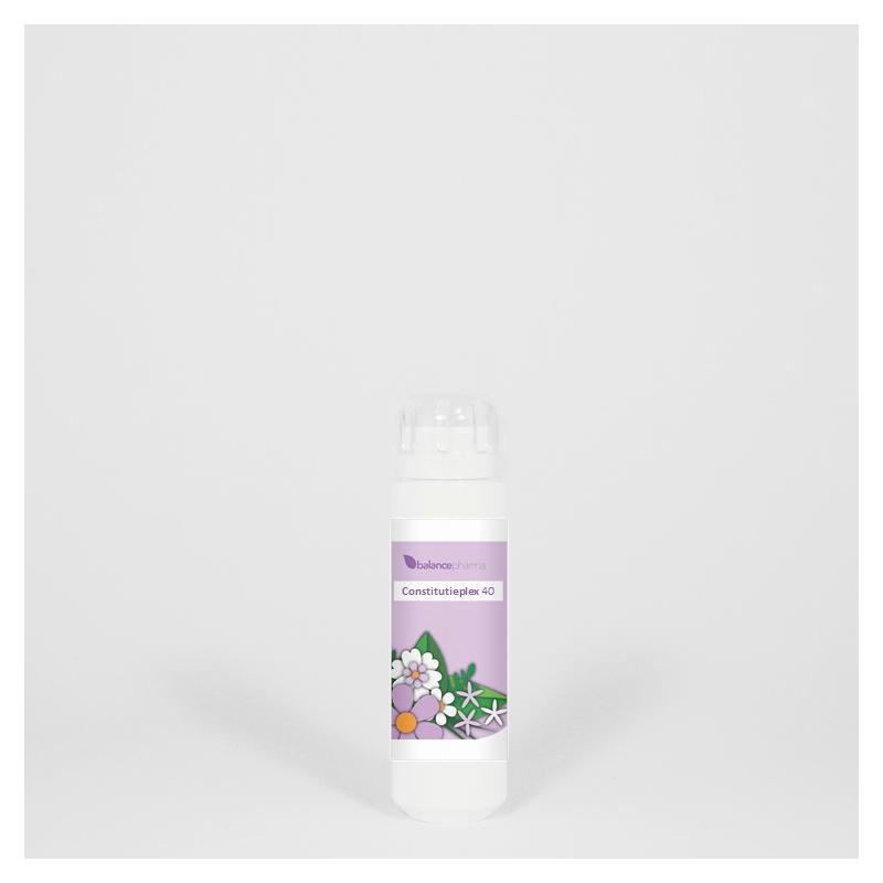 CNP40 Silicea Constitutieplex