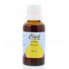 Solidago guldenroede