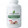Multi vitaminen & mineralen antioxidant