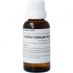 Eupatorium perfoliatum D6