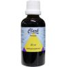 Parozol