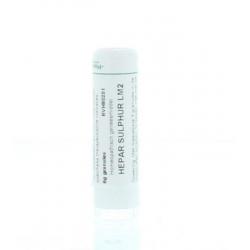 Hepar sulphur LM2