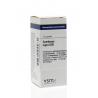 Sambucus nigra D30