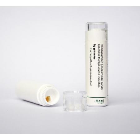 Ferrum phosphoricum LM7