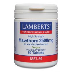 Crataegus 2500mg (hawthorn)