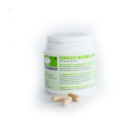 Ginkgo biloba CMN plus