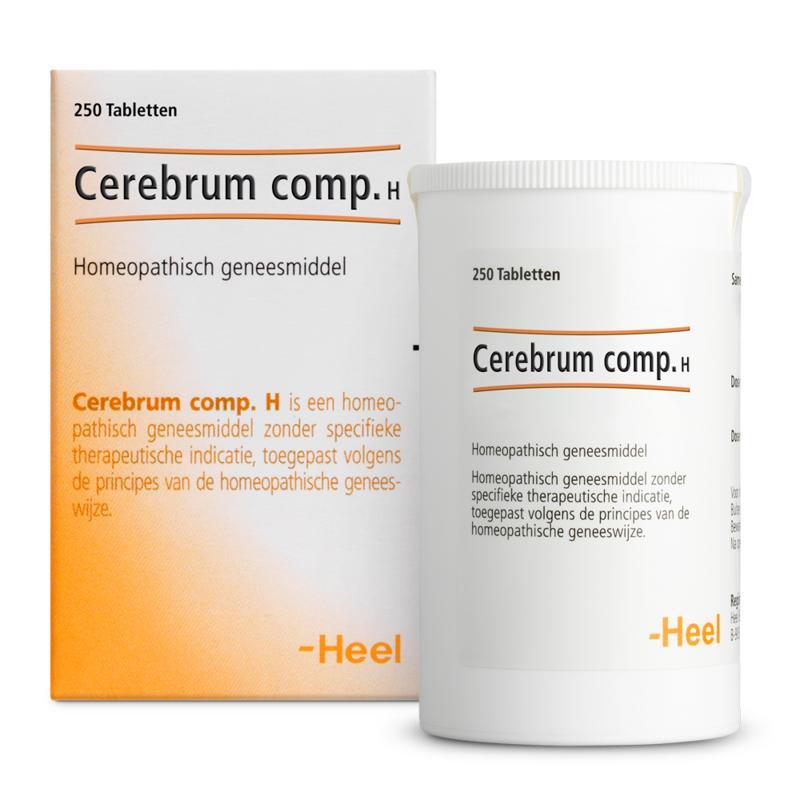 Cerebrum compositum H