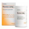Mucosa compositum H
