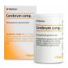 Cerebrum compositum H