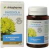Rhodiola