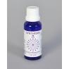 Syntheses 98 virus