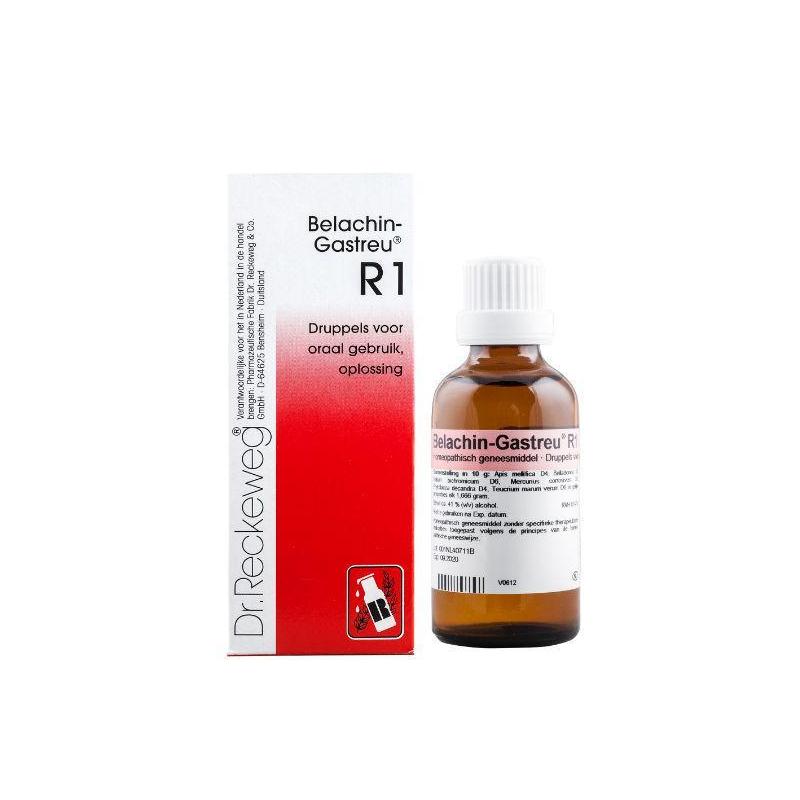 Belachin gastreu R1