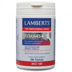FEMA 45+