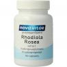 Rhodiola rosea extract