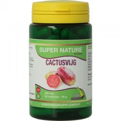 Cactusvijg 500mg puur