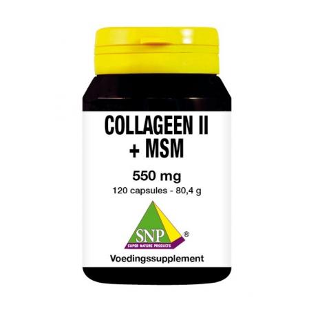 Collageen II + MSM