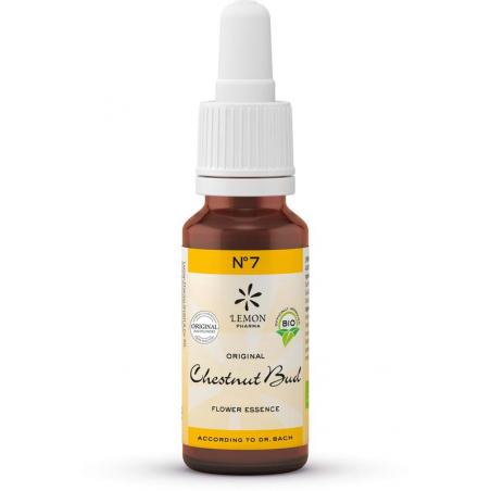 Bach bloesemremedies chestnut bud bio