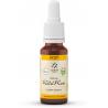 Wild rose bio