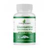 Glucosamine chondroitine MSM