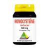 Homocysteine reducer