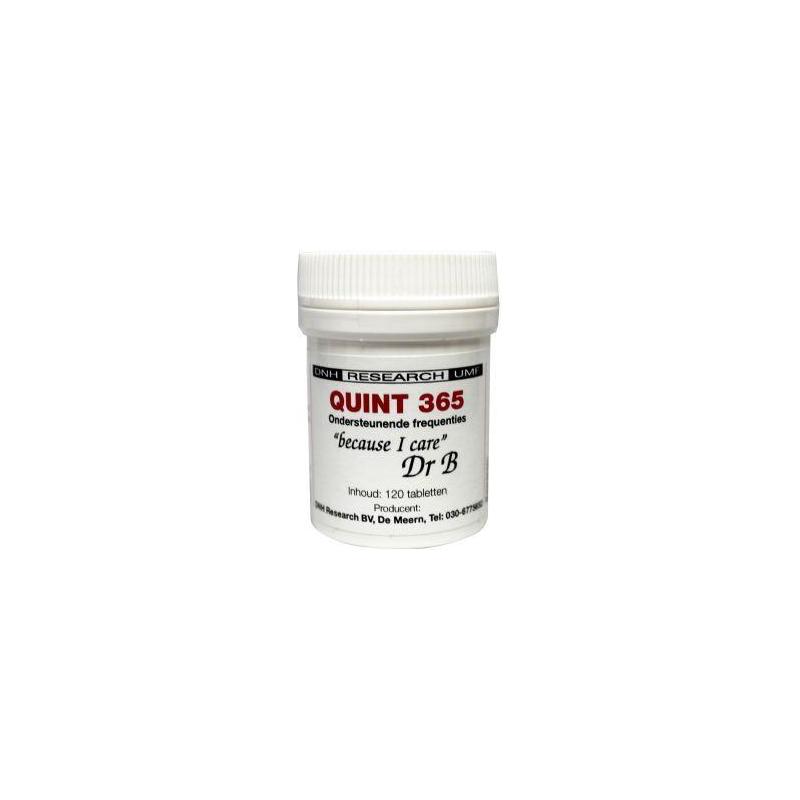 Quint 365