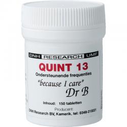Quint 13