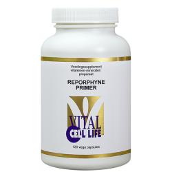 Reporphyne primer